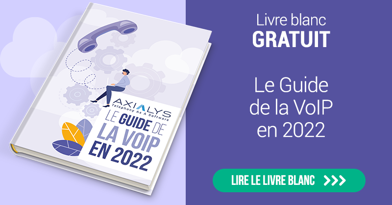 Livre Blanc : Guide de la VoIP en 2022