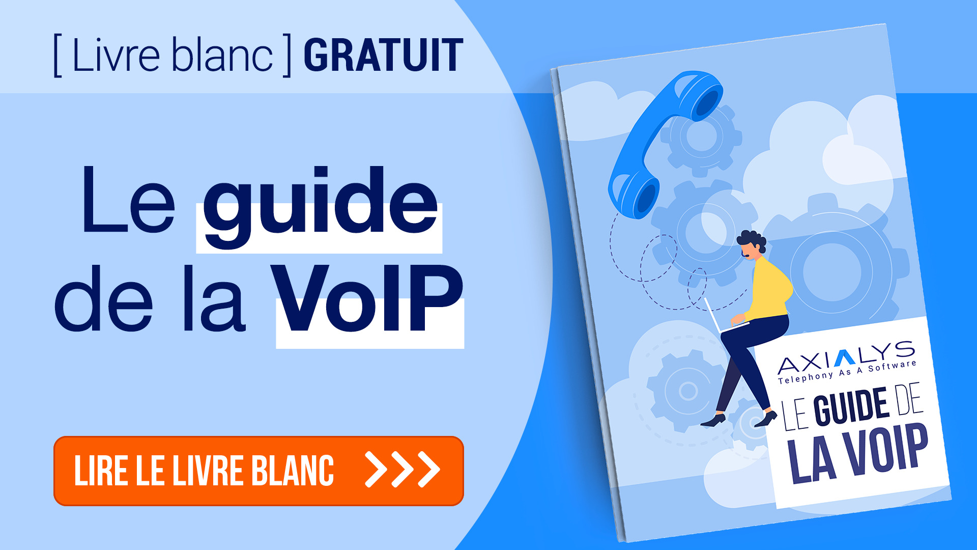 Livre Blanc : Guide de la VoIP